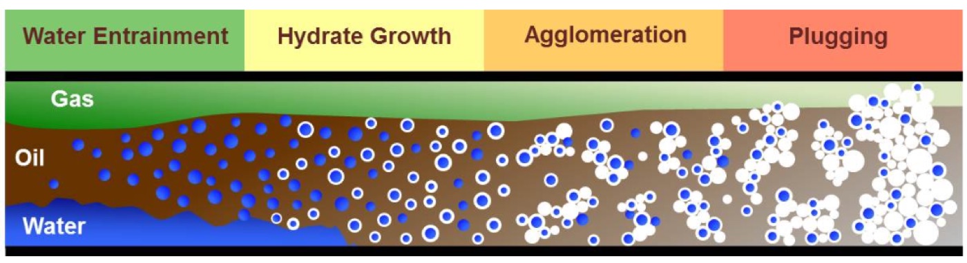 Hydrate formation in oil-dominated systems, adapted from Turner (2005)