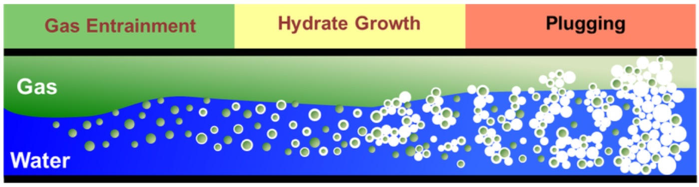 Hydrate formation in water-dominated systems